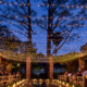 string lighting wedding