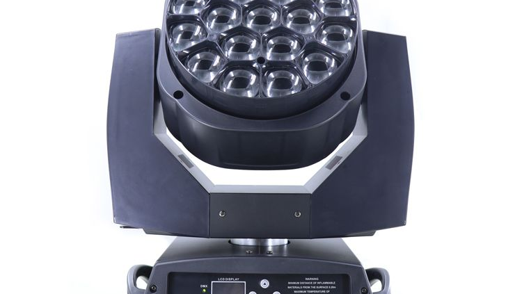 Professional Landscape Lighting